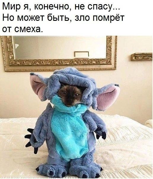 Мир я конечно не спасу Но может быть зло помрёт от смеха