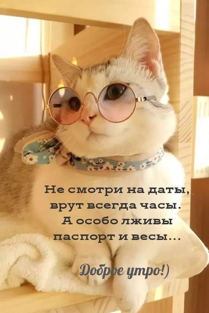 Не смотри на даты врут всегда часы А особо лживы пёспо и весы