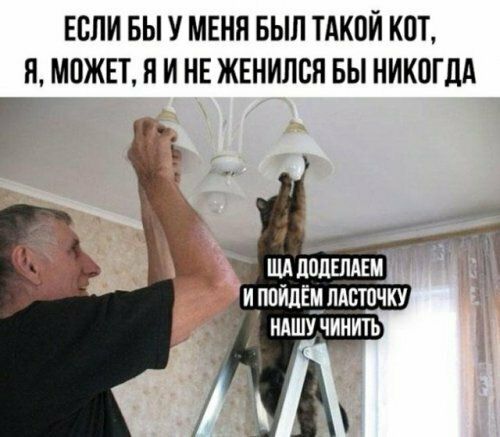 ЕОЛИ БЫ У МЕНЯ БЫП ТАКОИ КОТ Я МОЖЕТ Я И НЕ ЖЕНИЛОЯ БЫ НИКОГДА