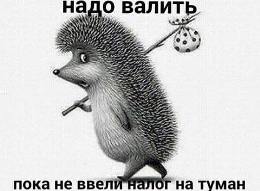 пока не 556 на туман