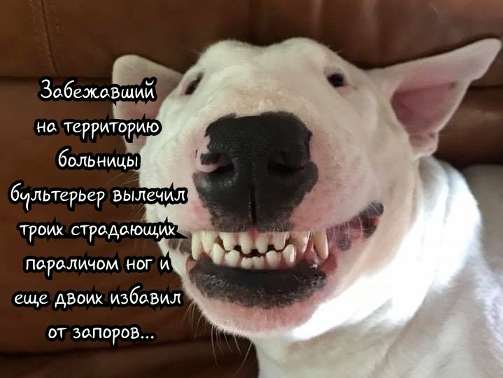 параличом ног и еще двоих избавил ОТ ЭОПОРОВ