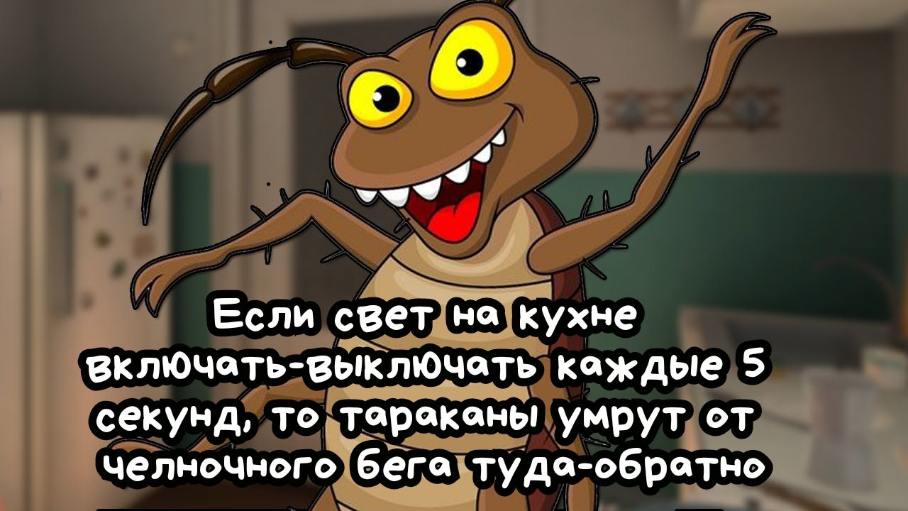 Если све індкухне включать выключдть каждые 5 секущ то тараканы умрут от челночного беге тудаобратно