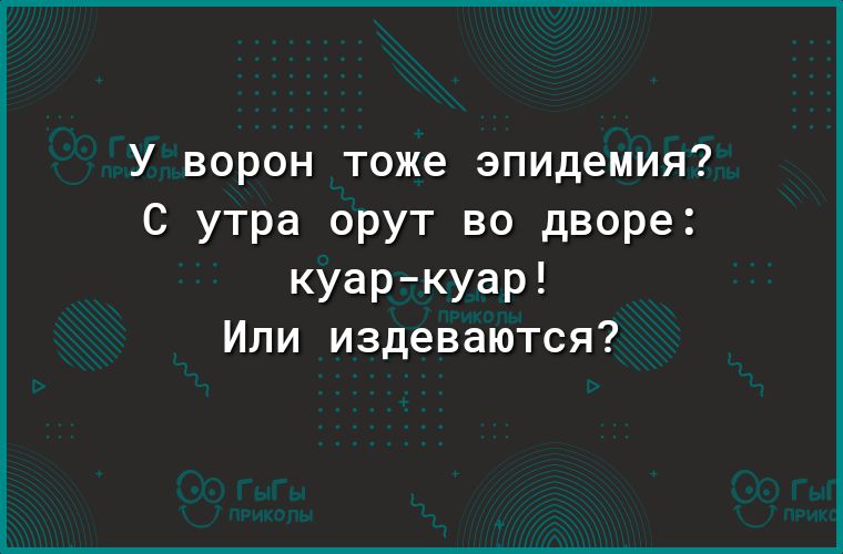 У ворон тоже эпидемия С утра орут во дворе куаркуар Или издеваются