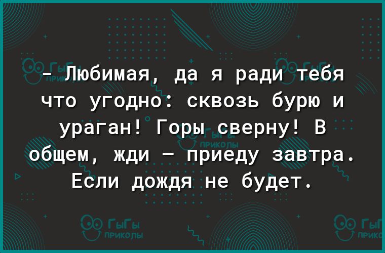 Любимая да я ради тебя что угодно сквозь бурю и ураган Горы сверну В общем жди приеду завтра Если дождя не будет