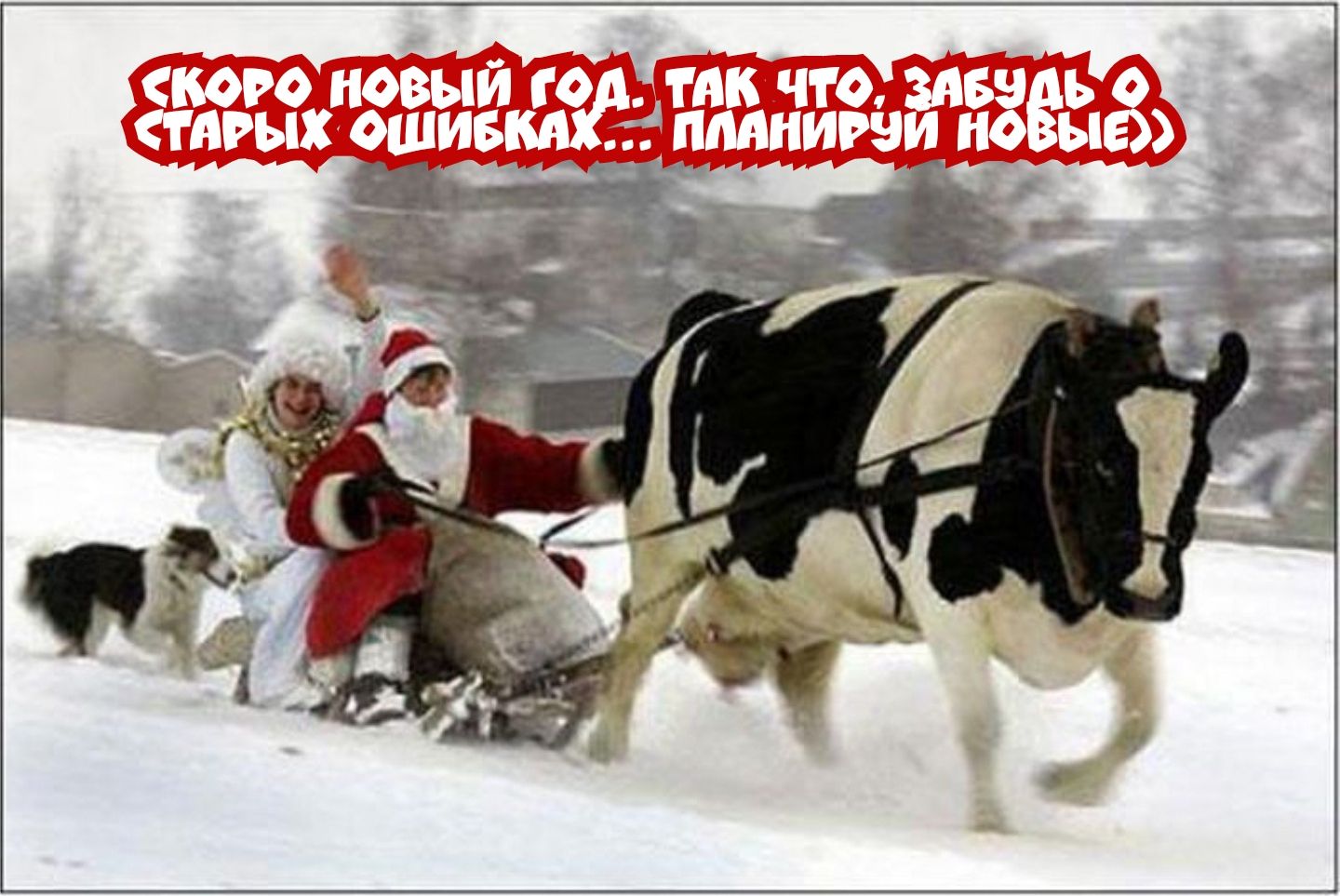 его новый го тик что мы ь тнгыхошив сЁыг пмнигэи н и