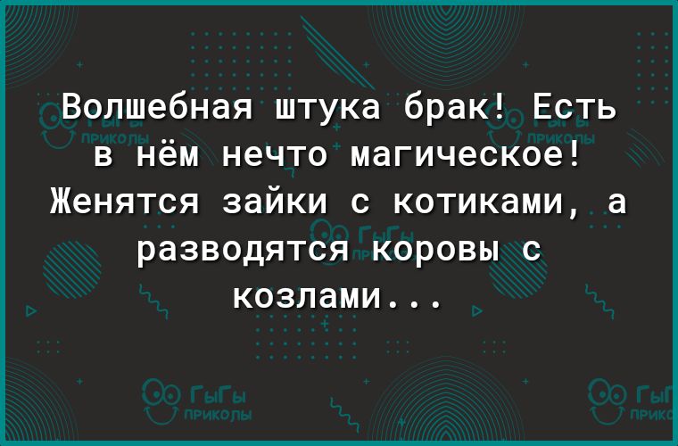 Волшебная штука брак Есть в нём нечто магическое Женятся зайки с котиками а РЭЗВОДЯТСЯ КОРОВЫ С КОЗЛдМИ