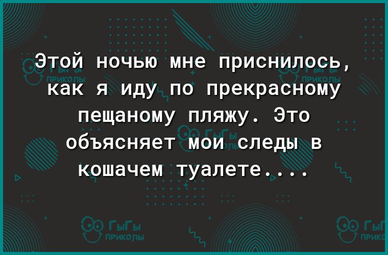 Этой ночью мне приснилось как я иду по прекрасному пещаному пляжу Это объясняет МОИ следы В кошачем туалете