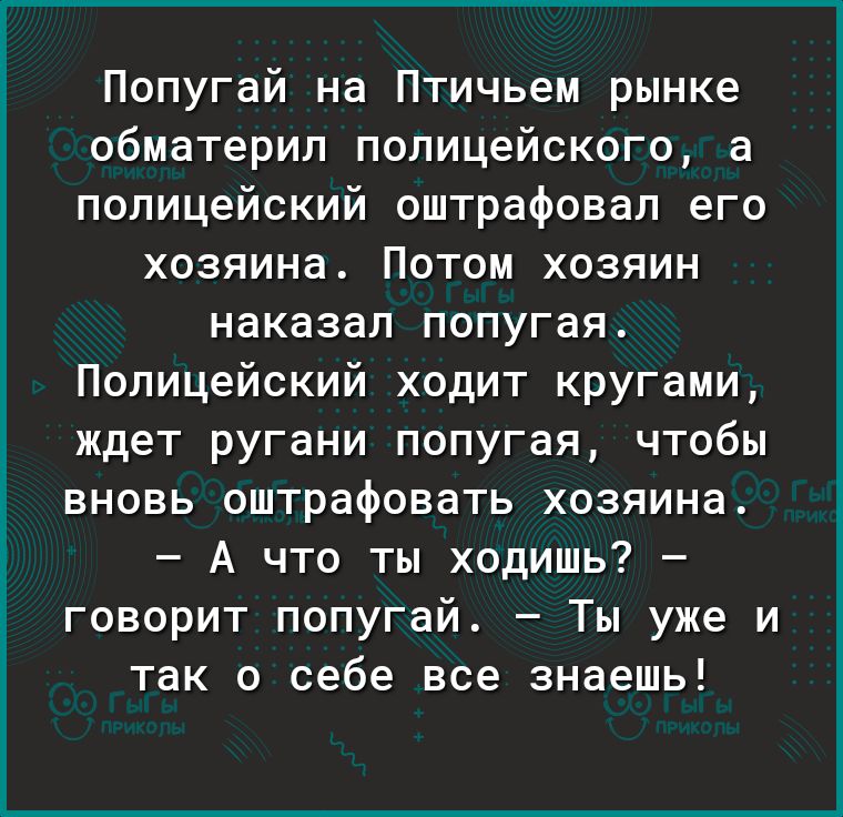 Попугай на Птичьем рынке обматерил полицейского а полицейский оштрафовал его хозяина Потом хозяин наказал попугая Полицейский ходит кругами ждет ругани попугая чтобы вновь оштрафовать хозяина А что ты ходишь говорит попугай Ты уже и так о себе все знаешь