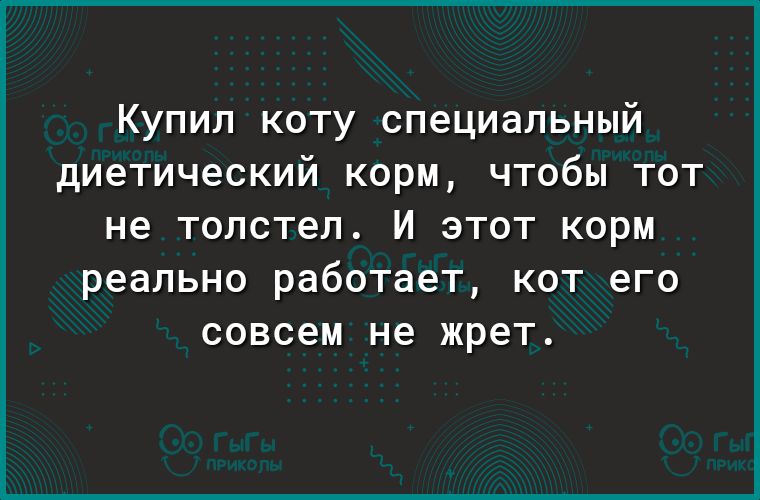 Купил коту специальный диетический корм чтобы тот не толстел И этот корм реально работает КОТ его совсем не жрет