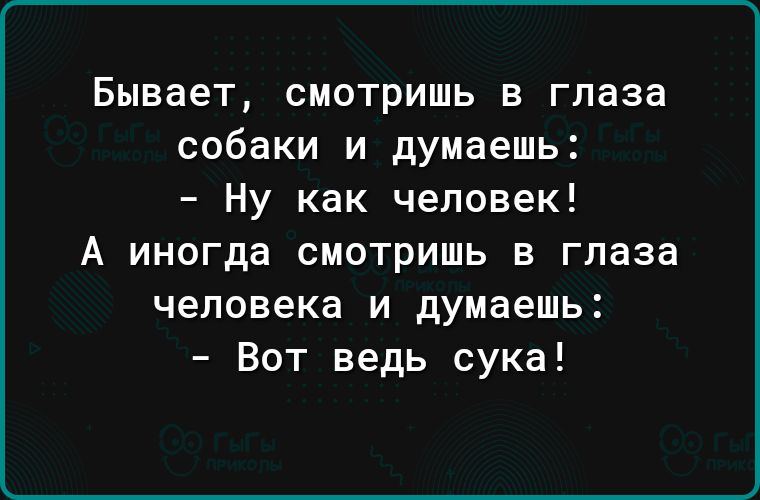 Бывает СМОТРИШЬ В глаза собаки И думаешь Ну как человек А иногда СМОТРИШЬ В глаза человека И думаешь Вот ведь сука