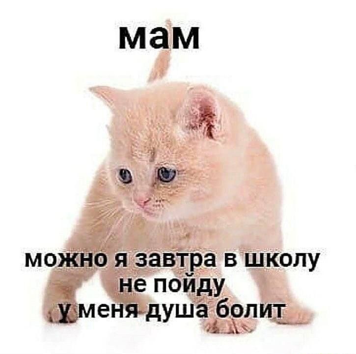 можно я завтра в школу не поиду уменядушаболитп _ ш щ