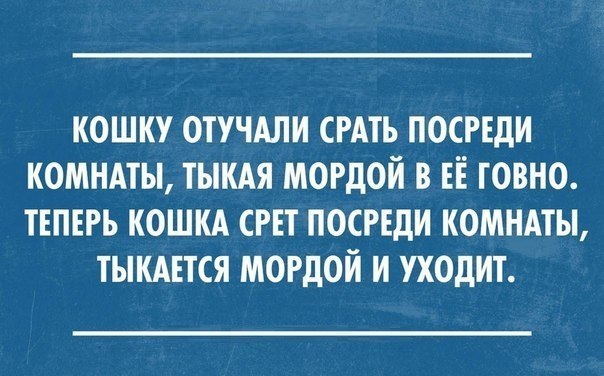 кошку ОТУЧАЛИ СРАТЬ посиди комндты тыкдя мордой в ЕЁ говно твпъгь кошкд СРЕТ посиди комнмы тыкшся мордой и уходит