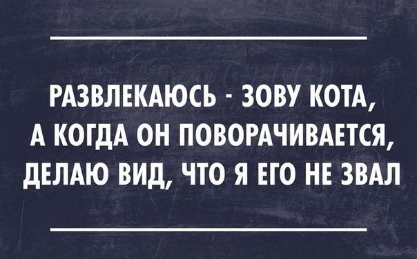 РАЗВЛЕКАЮСЬ ЗОВУ КОТА А КОГДА ОН ПОВОРАЧИВАЕТСЯ дЕЛАЮ ВИД ЧТО Я ЕГО НЕ ЗВАЛ