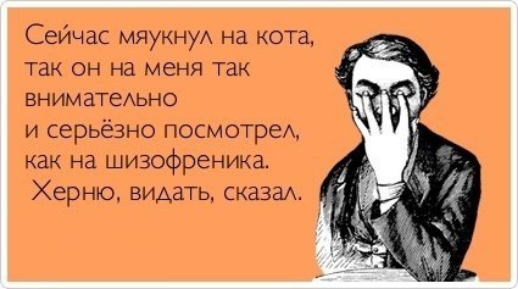 Сейчас мяукнуА на кота так он на меня так ВНИМаТеАЬНО и серьёзно посмотрех как на шизофреника Херню видать сказаА