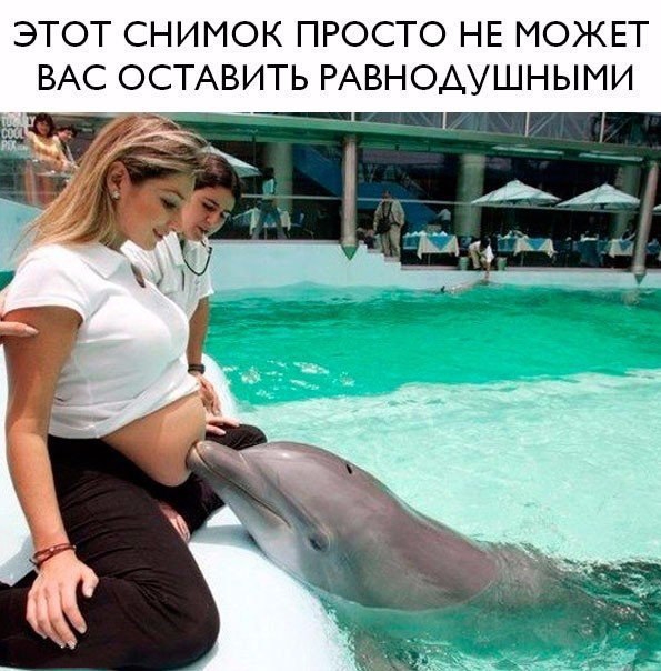 ЭТОТ СНИМОК ПРОСТО НЕ МОЖЕТ ВАС ОСТАВИТЬ РАВНОАУШНЫМИ