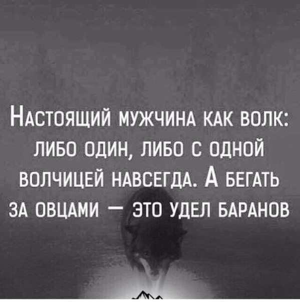 НАСТОЯЩИЙ МУЖЧИНА КАК ВОЛК ЛИБО ОДИН ЛИБО С ОДНОЙ ВОЛЧИЦЕЙ НАВСЕГДА А БЕГАТЬ ЗА ОВЦАМИ _ ЭТО УДЕЛ БАРАНОВ 4