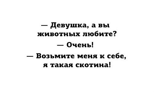 девушка а вы животных любите Оченъ Возьмите меня к себе я такая скотина