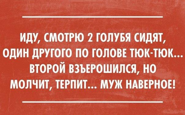 иду смотрю 2 голувя сидят один другого по голове тюк тюк второй взънгошился но молчит тнгпит муж ндввгноы
