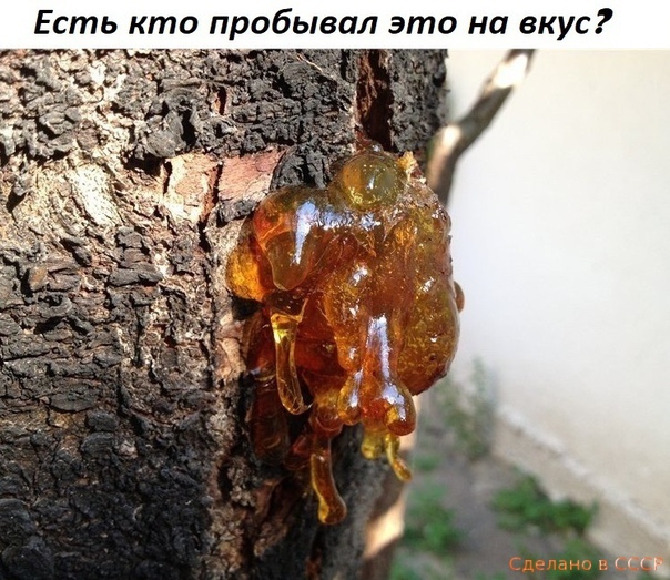 Есть кто пробывал это на вкус