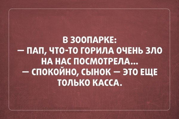 в зоопдркв пдп что то ГОРИПА очень зло нд ндс посмотрвлд спокойно сынок это ЕЩЕ только КАССА