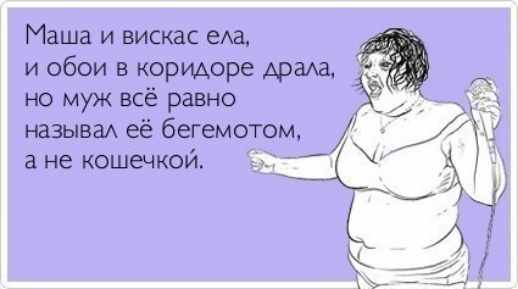 Маша и вискас еАа и обои в коридоре Араха но муж всё равно называА её бегемотом а не кошечкой