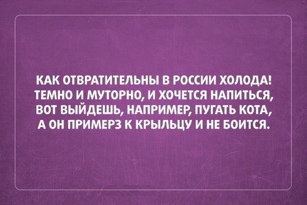 КАК ОТВРАТИТЕПЬНЫ В РОССИИ ХОЛОДА ТЕМНО И МУТОРНО И ХОЧЕТСЯ НАПИТЬСЯ ВОТ ВЫЙДЕШЬ НАПРИМЕР ПУГАТЬ КОТА А О ПРИМЕРЗ К КРЫЛЬЦУ И НЕ БОИТСЯ