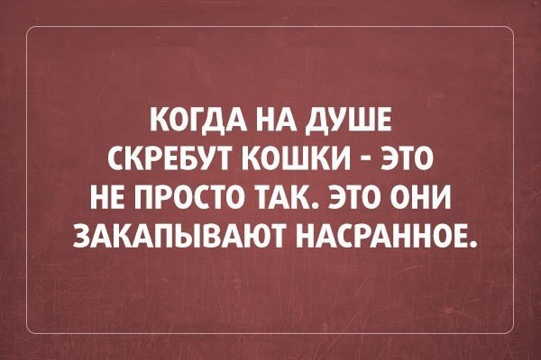 КОГДА НА дУШЕ СКРЕБУТ КОШКИ ЭТО НЕ ПРОСТО ТАК ЭТО ОНИ ЗАКАПЫВАЮТ НАСРАННОЕ