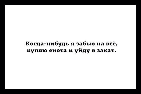 Когда нибудь я забью на всё куплю енота и уйду в закат