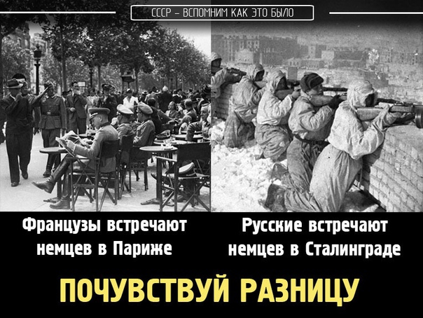 ЕШ ПОМНИМ КАК ЭТП БНЛП Французы встречают Руссие встечрт немцев в Париже немцев Сталинграде ПОЧУВСТВУЙ РАЗНИЦУ