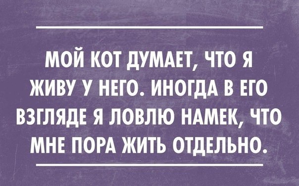 мой кот дУМАЕТ что я живу у нно иногдА в ЕГО взгляд я ловлю ндмвк что мне пом жить отдельно