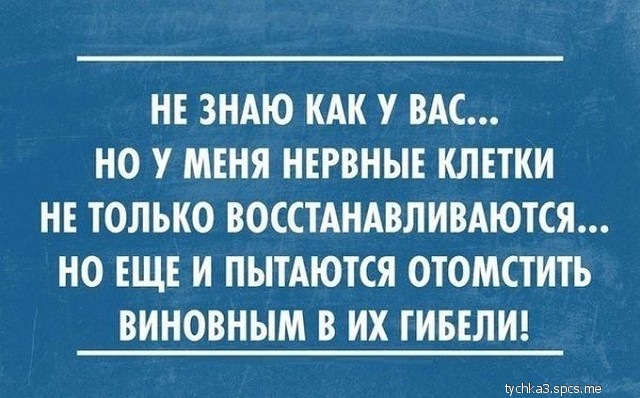 НЕ ЗНАЮ КАК У ВАС НО У МЕНЯ НЕРВНЫЕ КЛЕТКИ НЕ ТОЛЬКО ВОССТАНАВЛИВАЮТСЯ НО ЕЩЕ И ПЫТАЮТСЯ ОТОМСТИТЬ ВИНОВНЫМ В ИХ ТИБЕЛИ упЫзЗ 5рп5 те