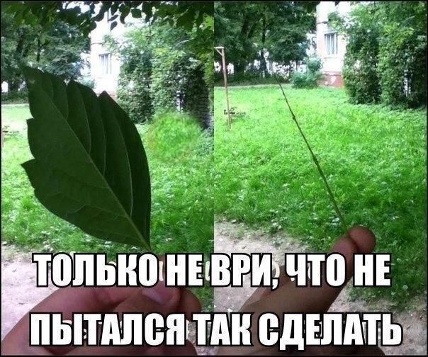 Р пыюлнврди что нт ПППЁПЕТАЁ сдтпдтдд