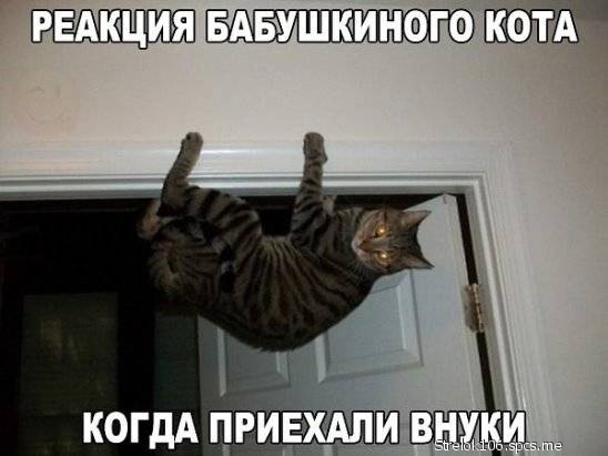радиация Авушюиного тт когдА привзхдлш