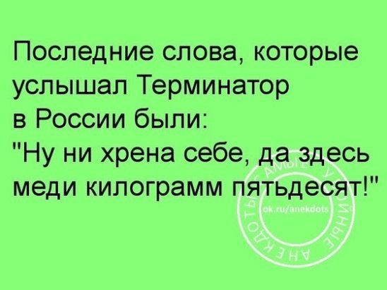 Последние слова которые услышал Терминатор в России были Ну ни хрена себе да здесь меди килограмм пятьдесят
