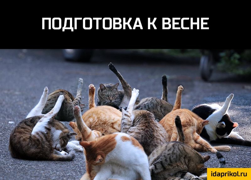ПОДГОТОВКА К ВЕСНЕ іпаргікшти