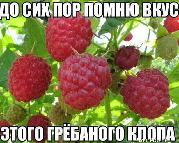 д0 ВИЫЮР помню ВНИЗ _ щ Ё ___ и этого твднбгйцшціі