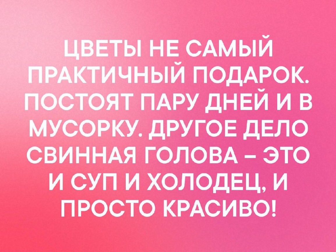 _ ты НЕ САМЫЙ чный ПОДАРОК мусорку другов дЕЛО СВИННАЯ ГОЛОВА ЭТО и суп и холодЕц И просто КРАСИВО
