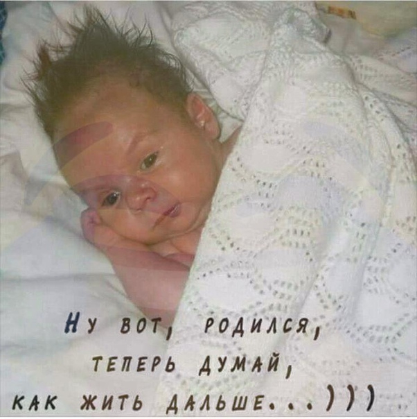 Родился тглпь думл мк жить мльшг