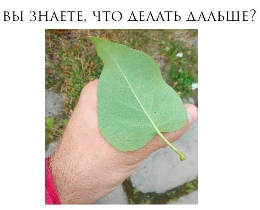 ВЫ ЗНАЕТЕ ЧТО АЕААТЬ АААЬШЕ