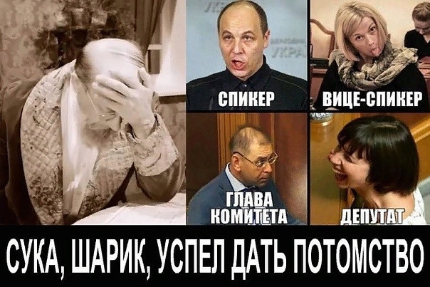 ШП ШШ ФПШШ А по А СУКА ШАРИК УСПЕЛ ДАТЬ ПОТОМСТВО