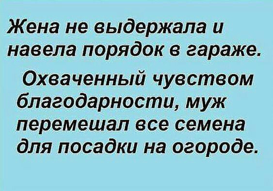 Жена не выдержала и навела порядок в гараже Охваченный чувством благодарности муж перемешал все семена для посадки на огороде