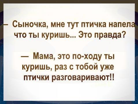 Сыночка мне тут птичка напел что ты куришь Это правда Мама это по ходу ты куришь раз с тобой уже птички разговаривают