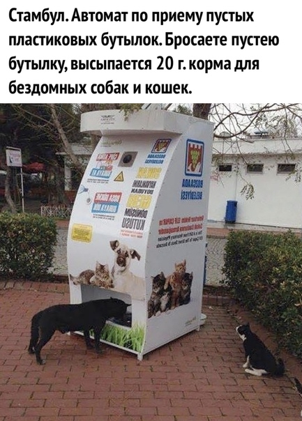 Стамбул Автомат по приему пустых пластиковых бутылок Бросаете пустею бутьшку высылается 20 г корма для бездомных собак И кошек 5 _ дд