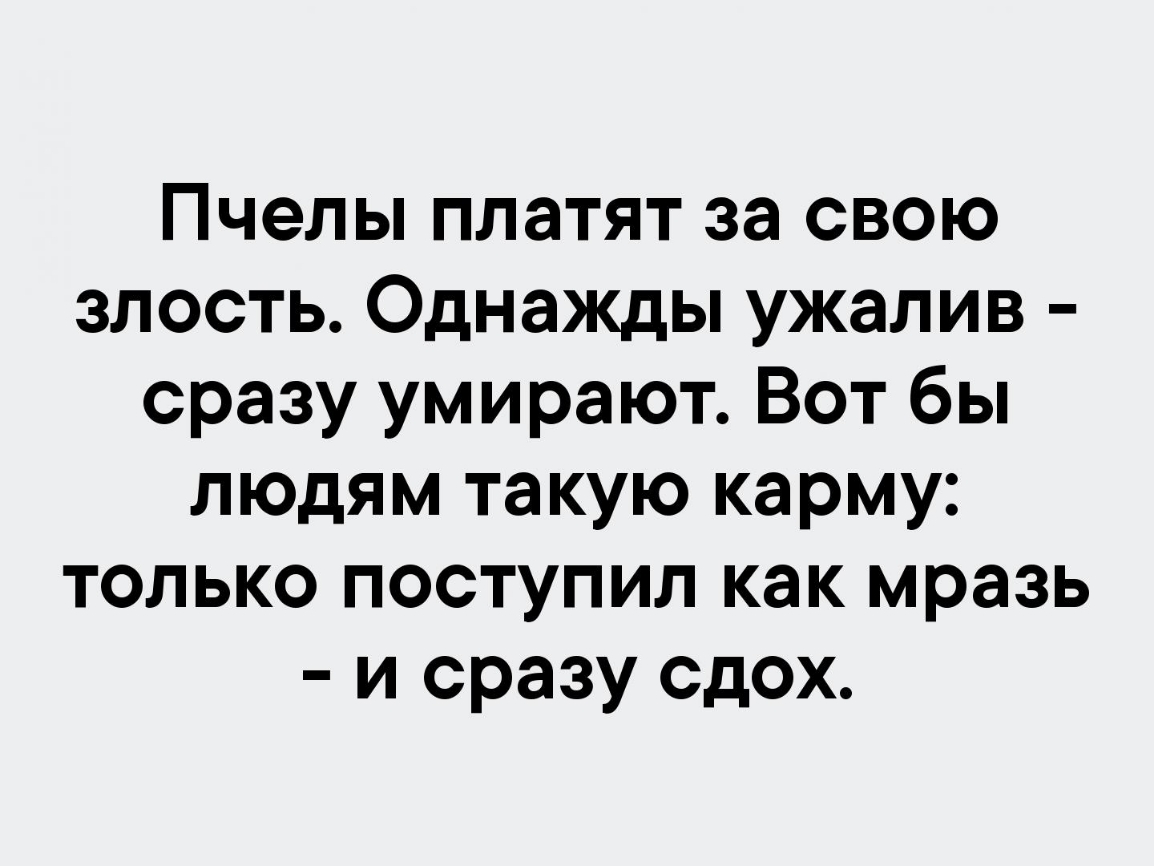 Пчелы платят за свою злость Однажды ужалив сразу умирают Вот бы людям такую карму только поступил как мразь и сразу сдох