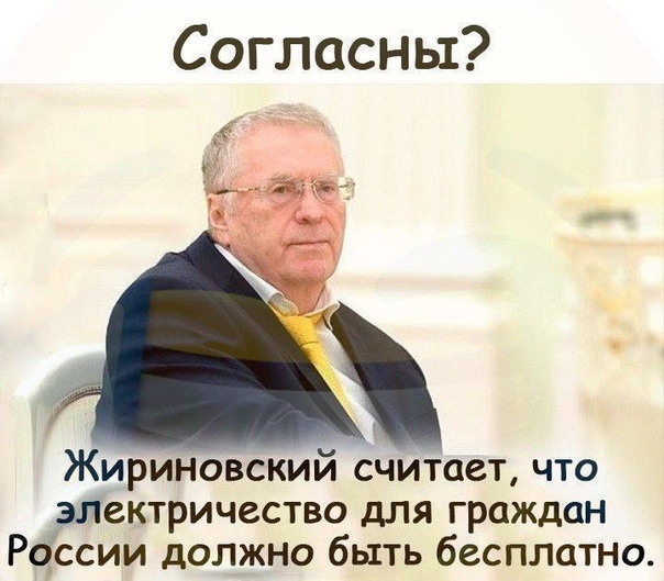 Согласны Жириновский считает что электричество для граждан России должно быть бесплатно