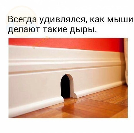 Всегда удивлялся как мыши делают такие дыры