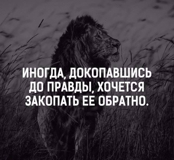 ИНОГДА ДОКОПАВШИСЬ дО ПРАВДЫ ХОЧЕТСЯ ЗАКОПАТЬ ЕЕ ОБРАТНО