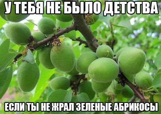 иты ннчш зшніыъ индийцем