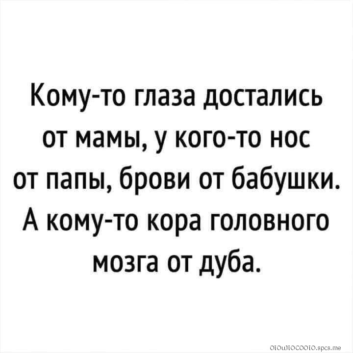 Кому то глаза достались от мамы у кого то нос от папы брови от бабушки А кому то кора головного мозга от дуба