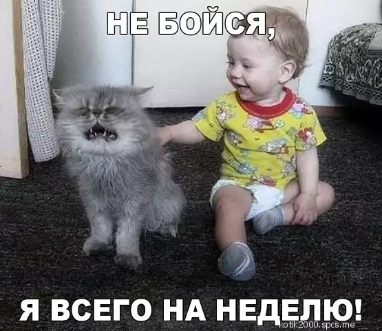 я всего НА НЕДЁЛЮ иии эрсэ те